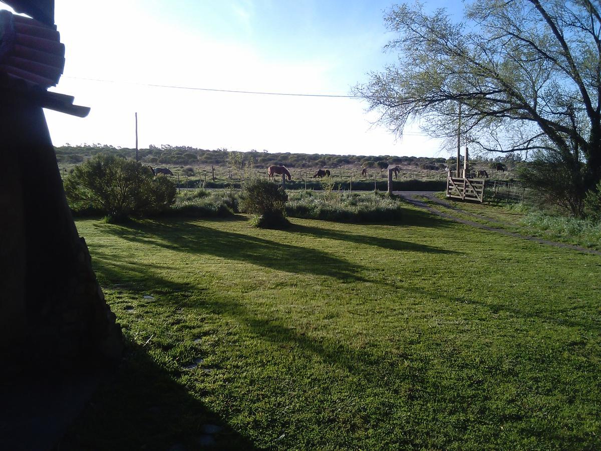 Alojamiento Ecológico Kurache Tandil Esterno foto